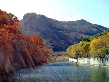 澳门天天开奖免费资料，导热油电加热器